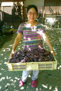 舞子さんの作業所で干し葡萄を作ります