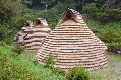 葺き替えが完成した茅葺き屋根（背面） 三棟が並び建つ姿は圧巻