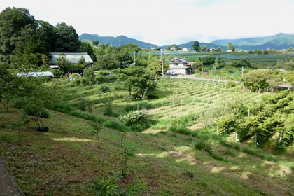 なだらかに南傾斜する農場の景観