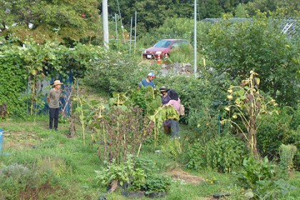 農場を視察する向山氏とその一行