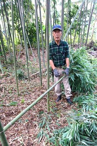 山廬振興会の関係者10名が集まって竹林整備の竹伐り