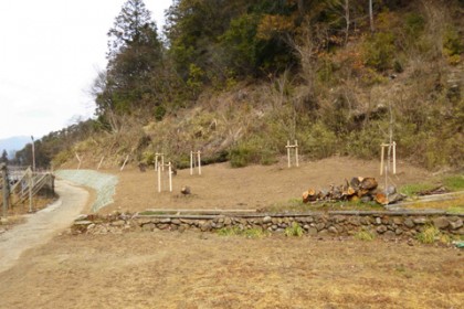 今回の作業場所 花かげの道　入り口付近（植樹作業完了）